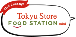 Tokyu STORE Food STATION mini